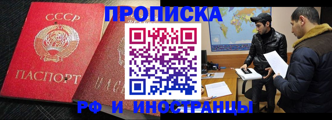 купить прописку в Вельске